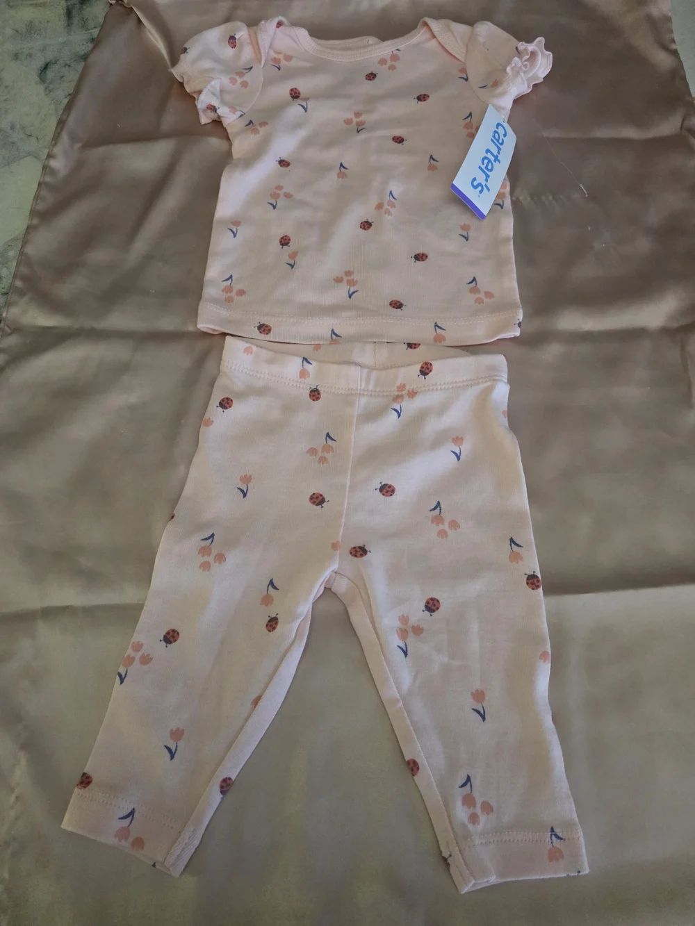 Carter's Light Pink Floral & Ladybug Toddler Pajama Set